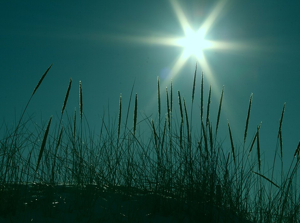 Salisbury Beach