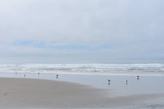 Nye Beach